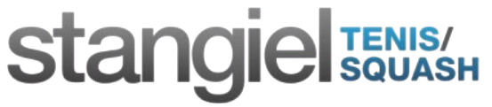 Stangiel Logo